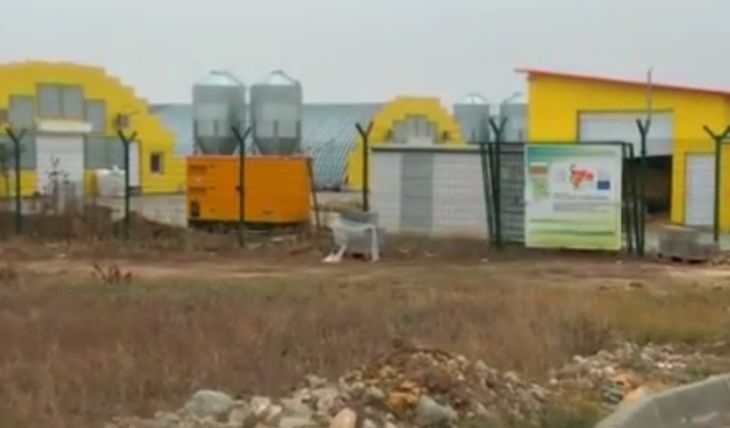 Далавера за милиони край Ихтиман: Как изглежда една ферма за патици по европроекти без птици, освен една - умряла (ВИДЕО)
