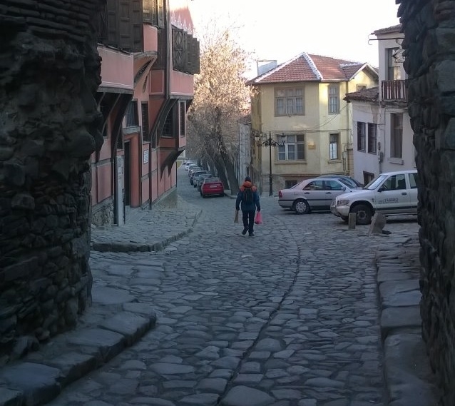 Уникално! Ранен щъркел събрал двама влюбени в Пловдив 