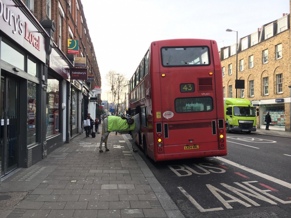 Такова нещо не се вижда всеки ден! Полицейски кон влезе в автобус в центъра на Лондон (СНИМКИ)