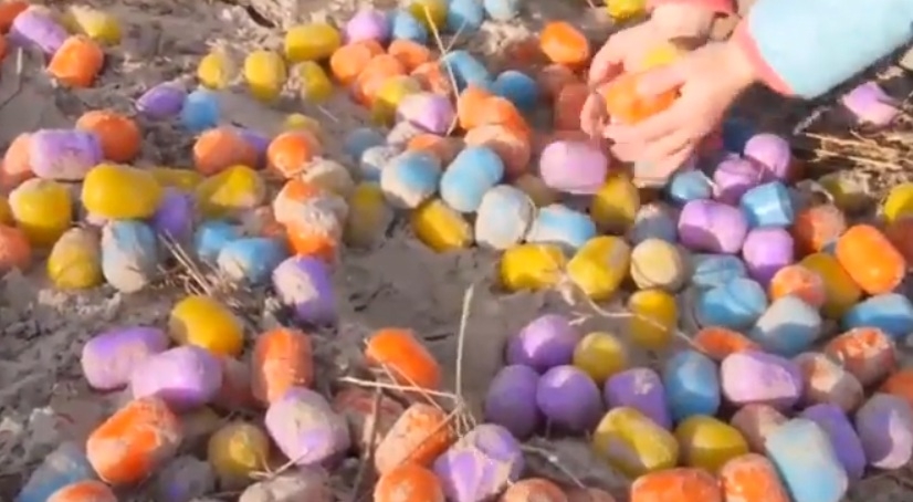 Детска радост: Морето изхвърли хиляди "Киндер - сюрприз" яйца на брега на немски остров (ВИДЕО)