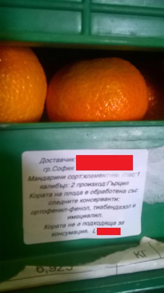 Владимир Василев: 15 години се занимавам с обработка на плодове и зеленчуци. Това, което виждам в един от най-големите складове в България, е, меко казано, ужасяващо! (СНИМКИ)