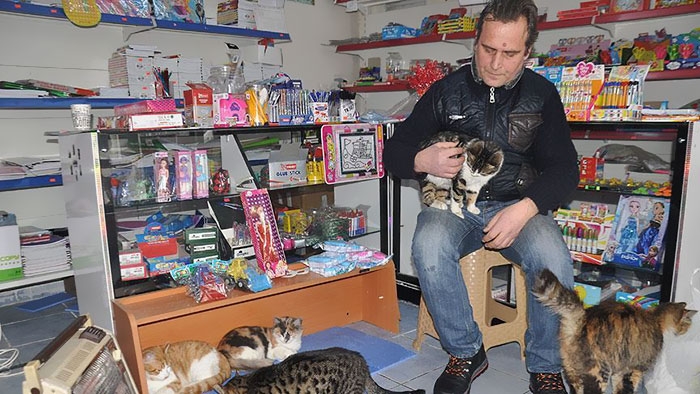 В Истанбул масово прибират в магазини и барове улични животни (СНИМКИ)