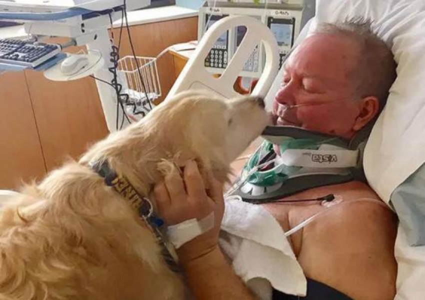 Куче герой спаси живота на стопанина си като лежа 24 часа върху него и го предпази от измръзване (СНИМКИ)