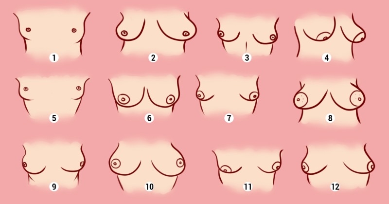 Тест: Формата на женските гърди издава характера на стопанката им