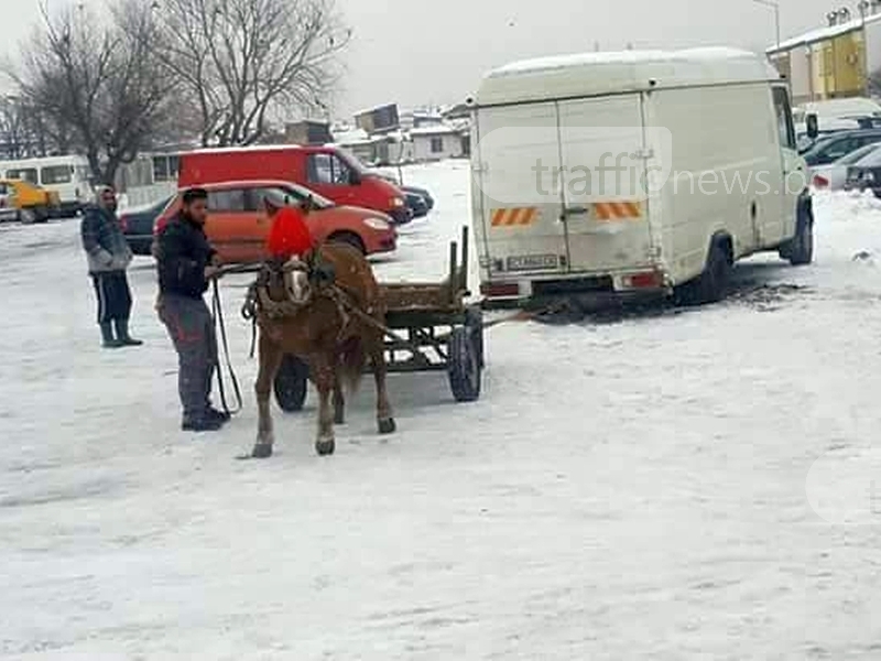 Мъчение над животно: Накараха кон да тегли микробус в Пловдив (ВИДЕО)