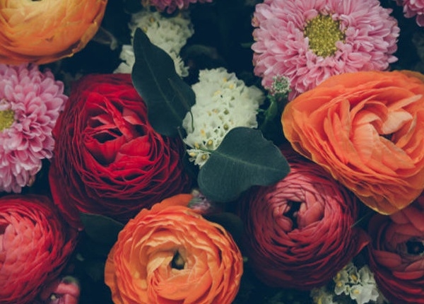 Какво е значението на 10-те най-популярни цветя