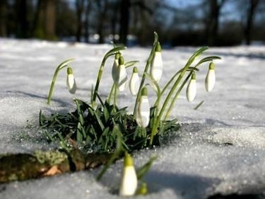 Метеоролози от НИМХ с отчайваща прогноза: Очакват ни още два дни пролет! В сряда лютата зима се завръща
