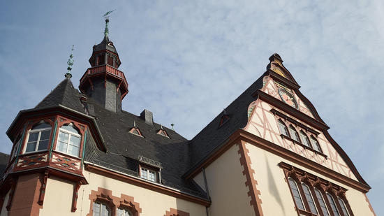 Кметство в германски град спря детска песен след оплакване на веганка