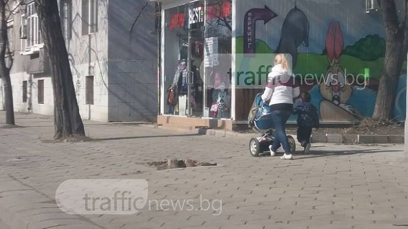Майки с деца минават покрай разлагащи се трупове в центъра на Пловдив (СНИМКИ)