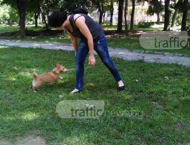 Пловдивчанин изведе кучето си на разходка. Минути, след като се прибрали вкъщи, с Тери се случило нещо ужасно
