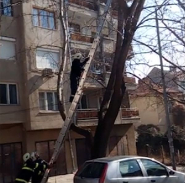 Това, което направиха пожарникари в Благоевград, спечели сърцата на хората (ВИДЕО)