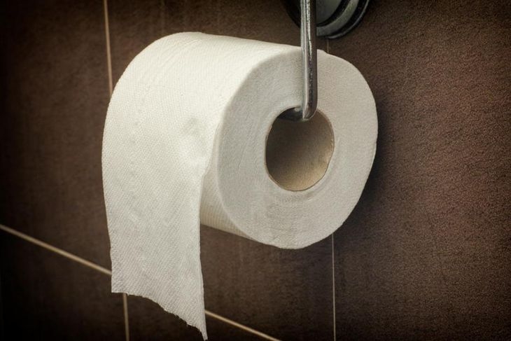 Преди да има тоалетна хартия, какво са използвали за тази цел?