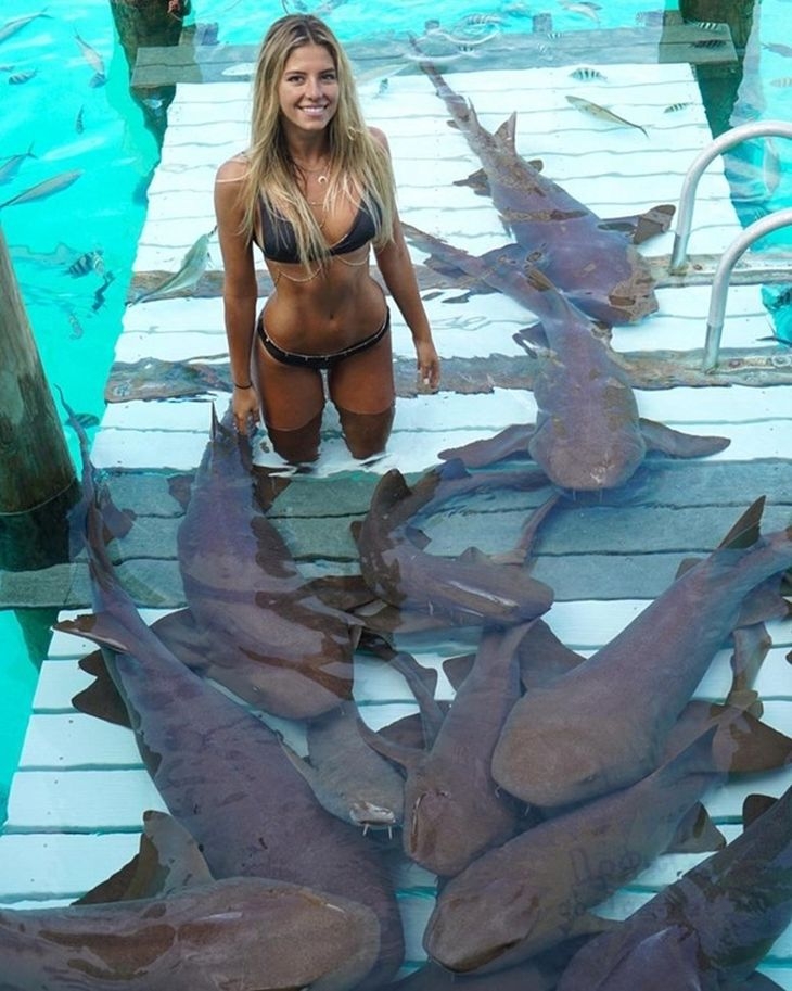 Секси мацка по бикини дразни акулите (СНИМКИ 18+)