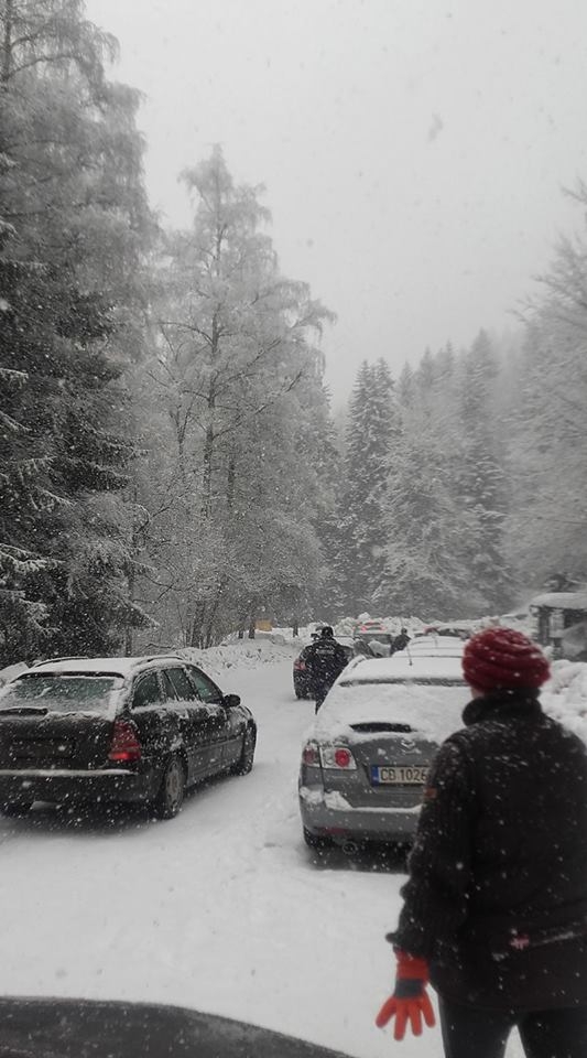 Снегокалипсис в София! Тротоари и улици побеляха за секунди, на Витоша... пълен абсурд! (СНИМКИ/ВИДЕО) 