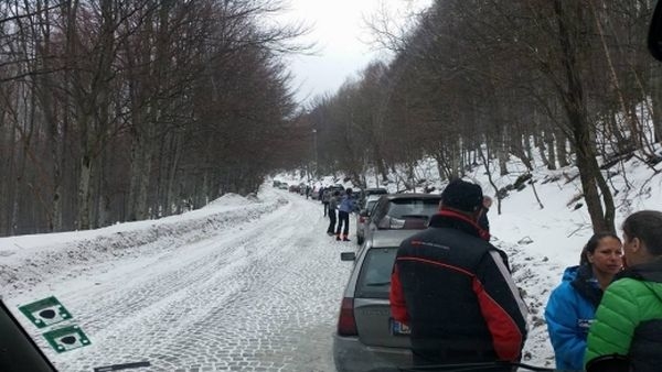 Ужасът е пълен! Баба и внучета са блъснатите на пътя за "Алеко"!