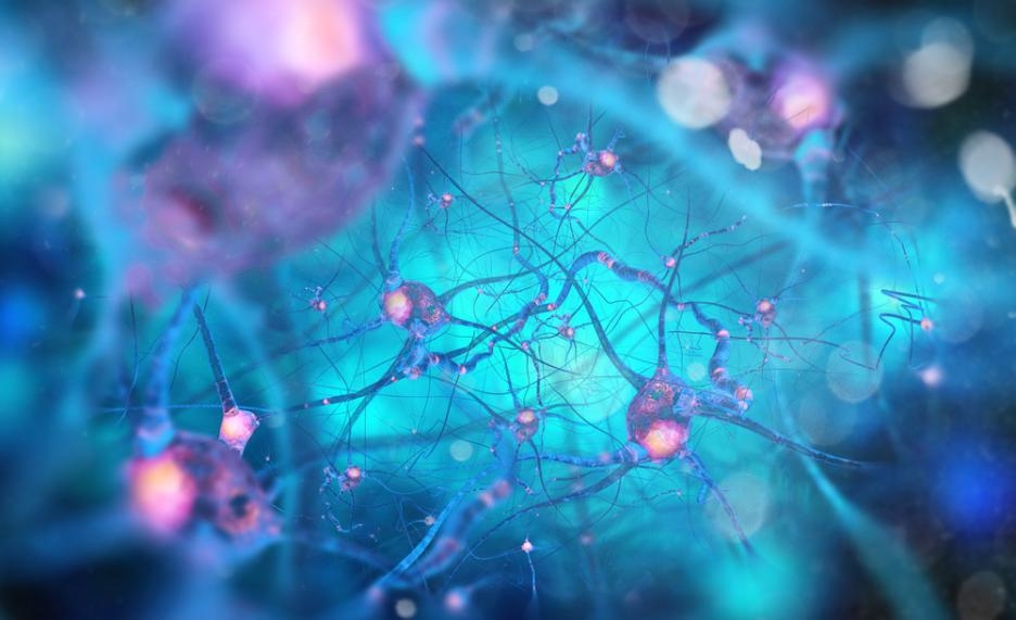 Учените откриха доказателство, че невроните могат да комуникират по начин, за който не сме подозирали