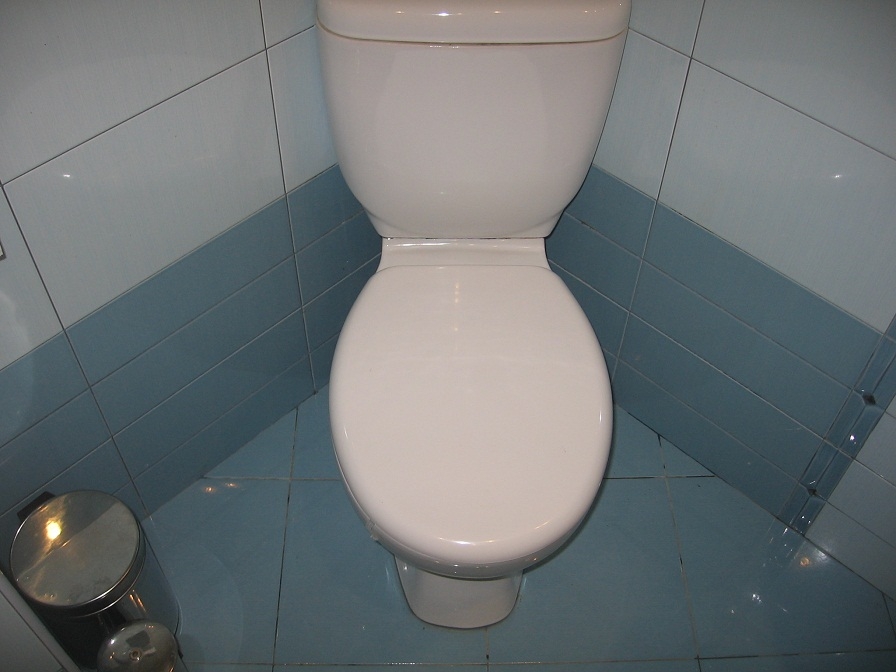 Куриозна кражба: Задигнаха тоалетна чиния и казанче от паркинг в Берковица 
