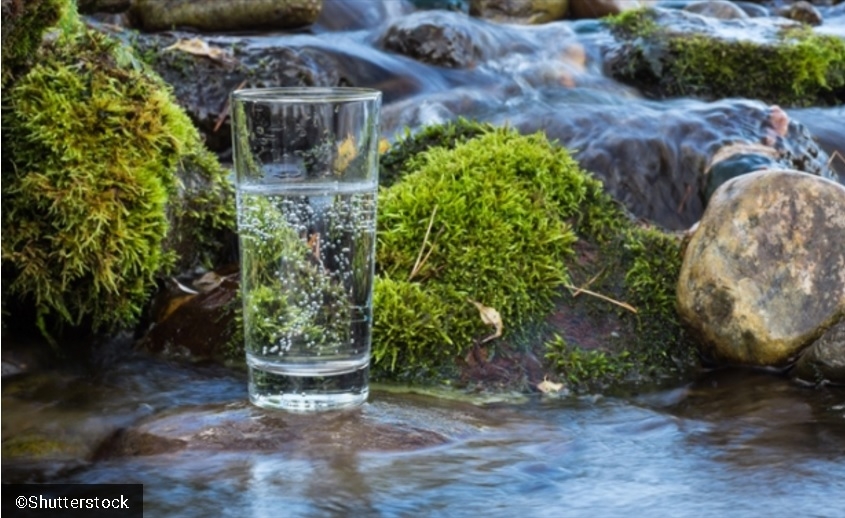 Минерална или изворна вода? Експертите съветват какво да изберем?