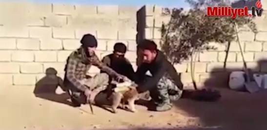 "Ислямска държава" започна да използва кучета за "живи бомби" (ВИДЕО)