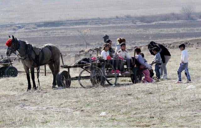 Виж конкурса за най-грозен кон в СНИМКИ