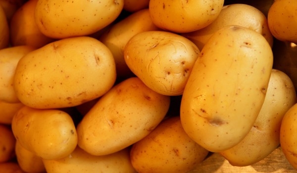 Учени се подготвят за живота на Марс като отглеждат картофи