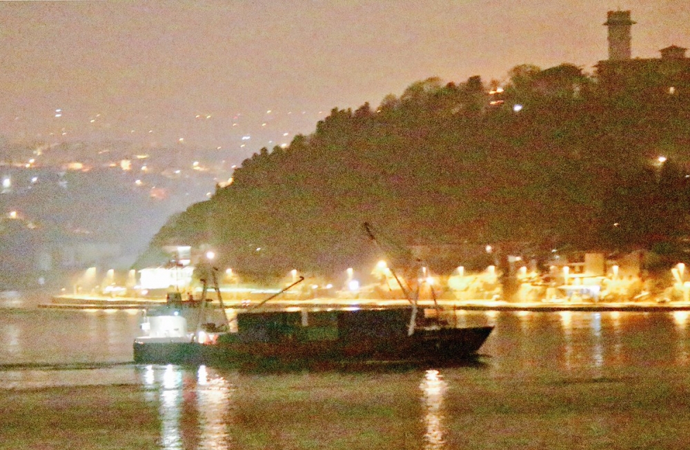 Турски блогър: Датският кораб Marianne Danica, натоварен в Бургас с оръжия за сирийските "бунтовници", премина Босфора (СНИМКИ)