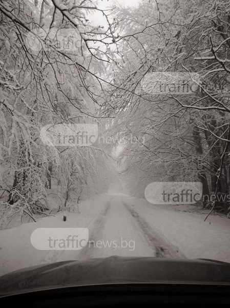 Зимата се завърна! 20-сантиметра сняг натрупа край Пловдив (СНИМКИ)