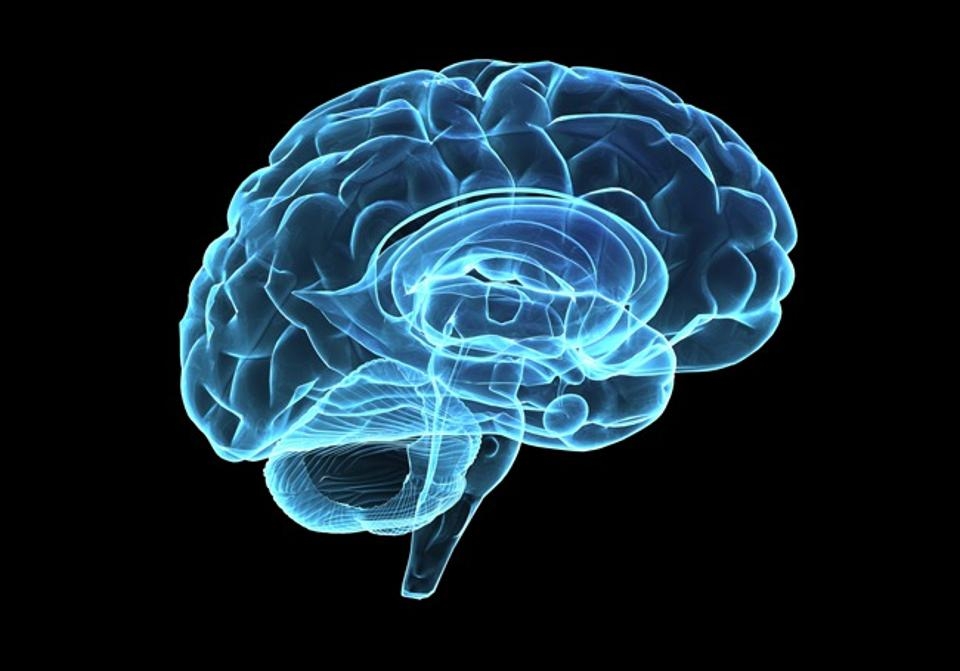 Неврогенезис или как да подпомогнем мозъка да създава нови клетки
