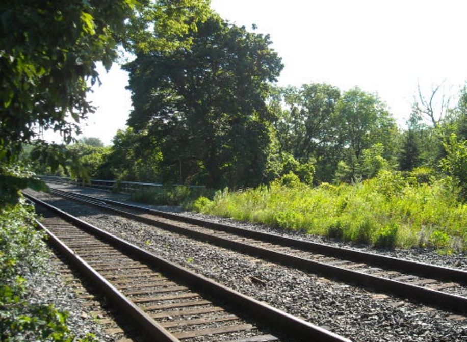 Трагедия на релсите:  Влак помете и уби на място глуха баба 