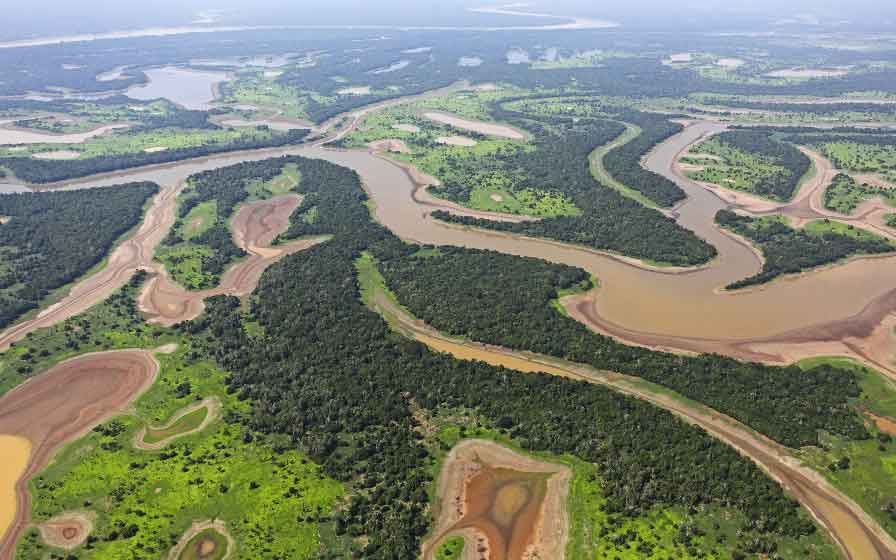 Учените в шах от неочаквано откритие за река Амазонка