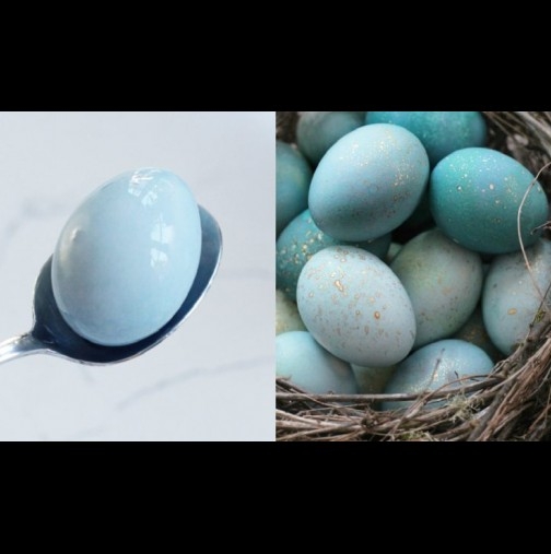 Редовно се обривах от купешката боя за яйца! Не вярвах, че стават също толкова красиви с естествени бои - вече ги шаря само така! (СНИМКИ)