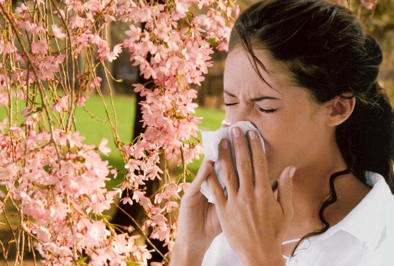 Изненада! Учени откриха неочакван помощник в борбата със сенната хрема и алергиите