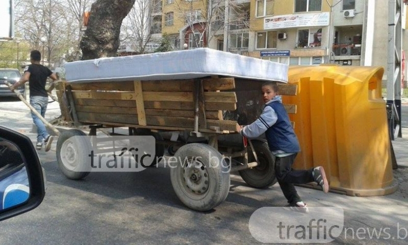 Пълен шаш! Впрегнаха деца в каруца в Пловдив (СНИМКИ)