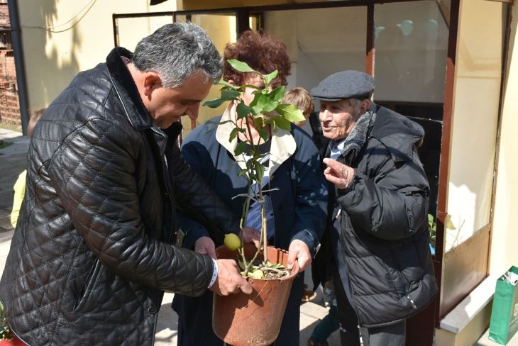 104-годишен столетник от Пловдивско сам отглежда лимонови дръвчета (СНИМКИ)