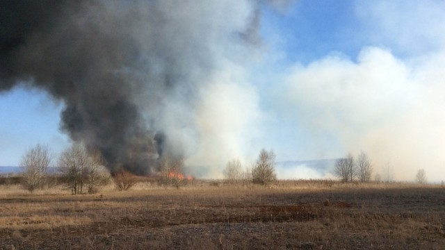 Вижте СНИМКИ от пожара край Елин Пелин 