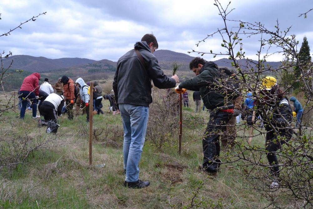 400 фиданки бяха засадени от служители на Райфайзенбанк България 
