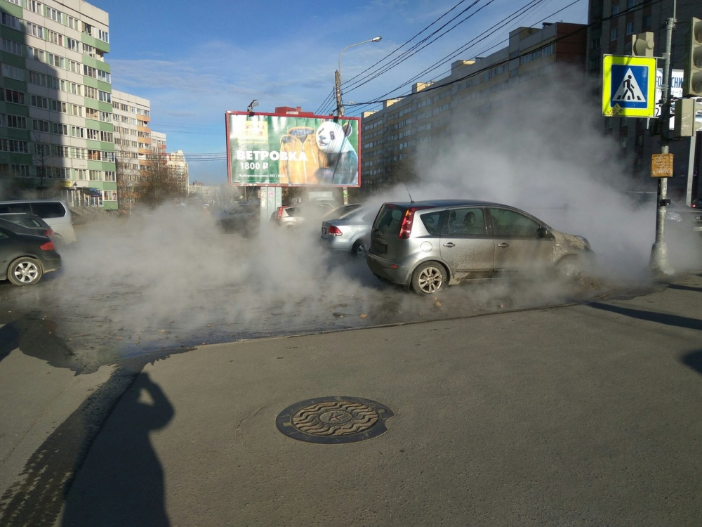 Нов ужас в Петербург! Десетки коли потънаха във вряла вода (СНИМКИ)