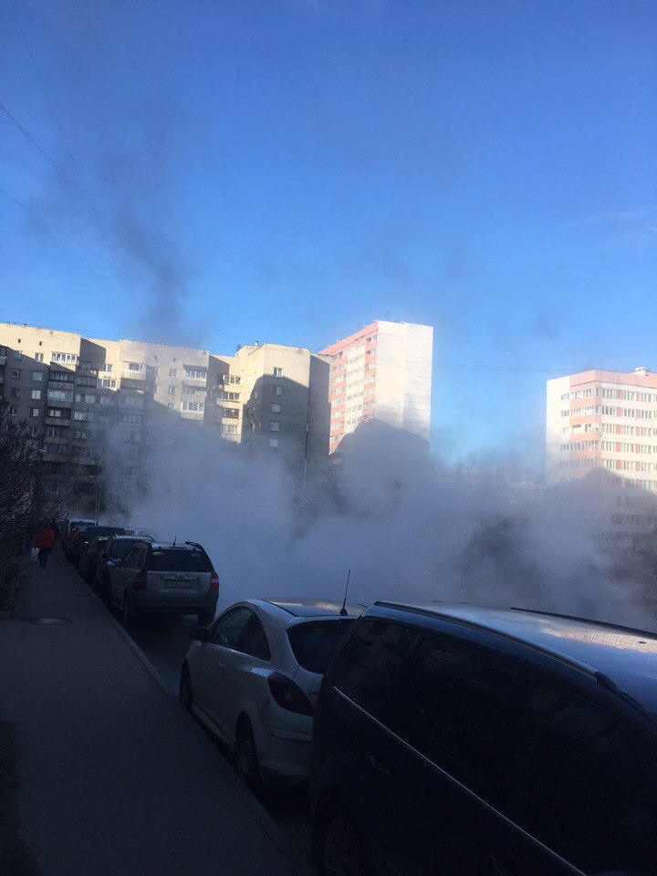 Нов ужас в Петербург! Десетки коли потънаха във вряла вода (СНИМКИ)