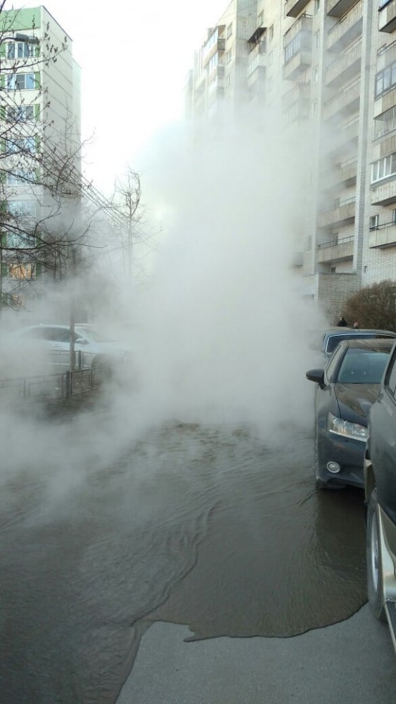 Нов ужас в Петербург! Десетки коли потънаха във вряла вода (СНИМКИ)