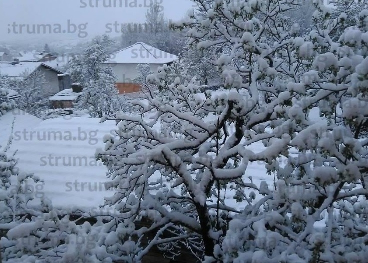 Снегът не спира и в Перник! Градът побеля (СНИМКИ)