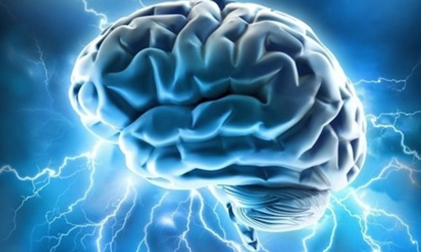Учени със сензационно откритие, което може да спре смъртта на мозъка (ВИДЕО)