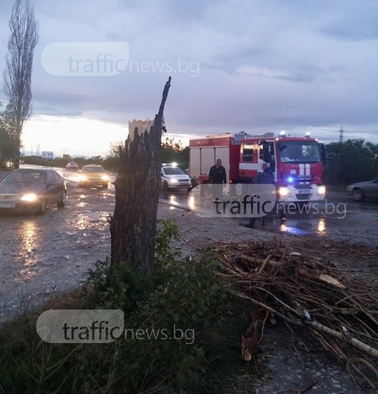 Силният вятър направи голяма поразия на пътя Пловдив-Асеновград, по чудо се размина без жертви (СНИМКИ)