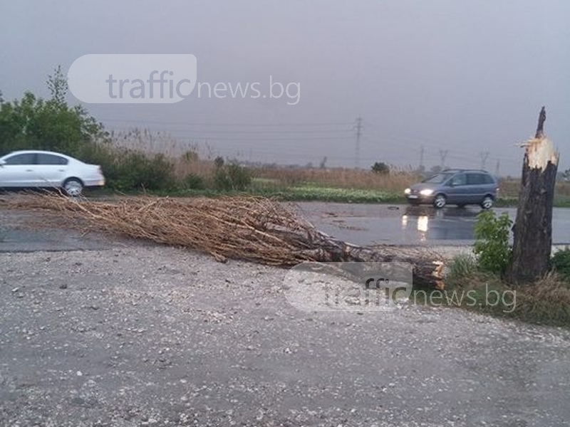 Силният вятър направи голяма поразия на пътя Пловдив-Асеновград, по чудо се размина без жертви (СНИМКИ)