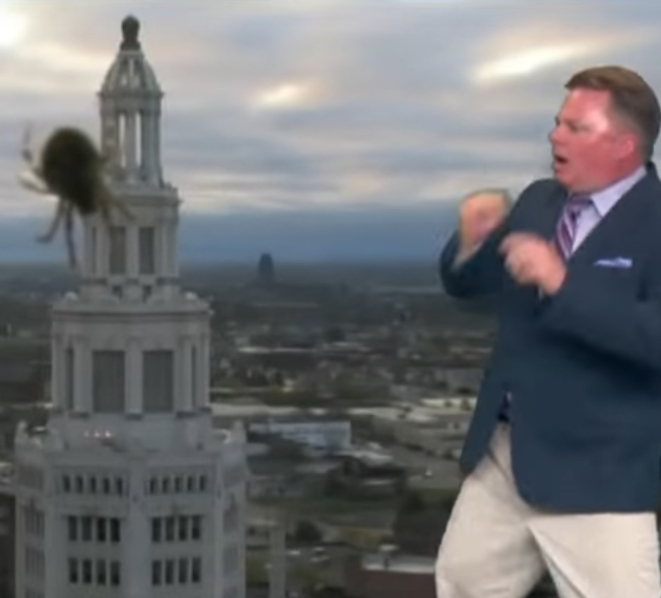 Американски водещ се изплаши от "гигантски" паяк в ефир (ВИДЕО)