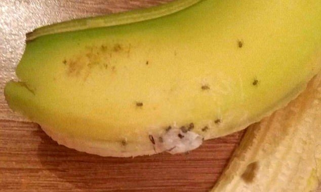 Жена намери в банан нещо толкова ужасяващо, че цялото й семейство незабавно напусна дома си, за да оживее (СНИМКИ)