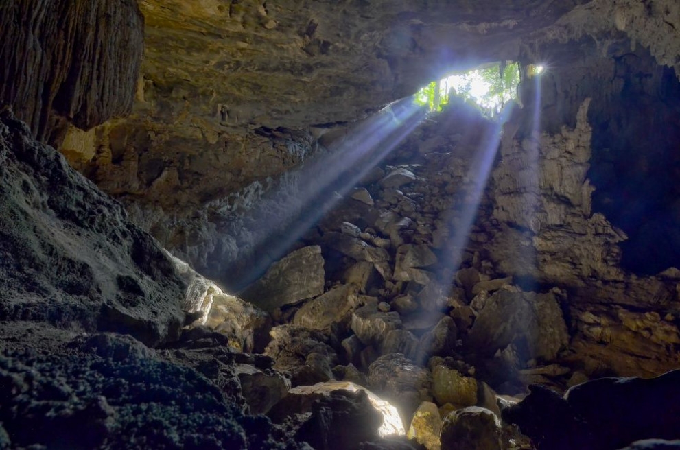 Учени откриха в пещерите на Урал хибрид на бизон и тур
