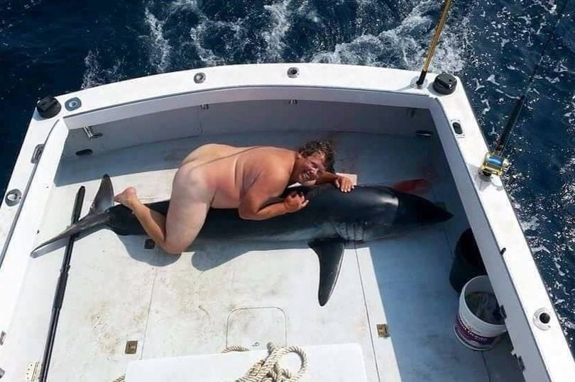 Издирват мъж, унизил мъртва акула - легнал гол върху нея (СНИМКА 18+)