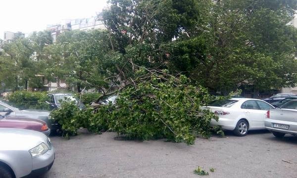 Силният вятър направи големи поразии в Бургас (СНИМКИ)