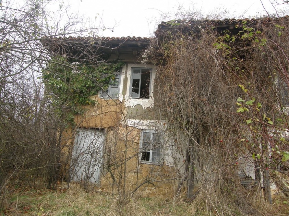 Две сестри от село Слокощица наследиха къща от покойната си майка и се случи природен феномен, който шашна всички (СНИМКА)