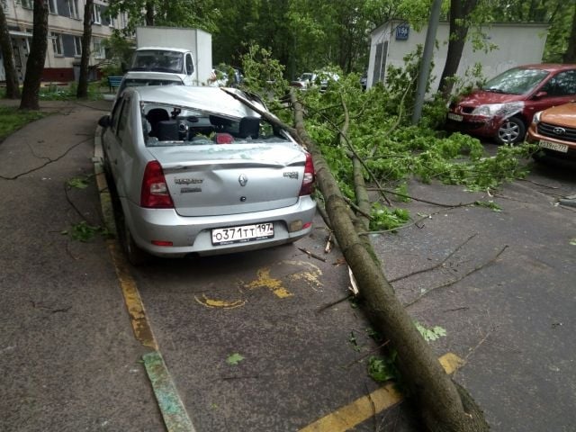 В Москва е страшно! Ураганен вятър поваля всичко по пътя си, съобщава се за загинали (СНИМКИ/ВИДЕО)